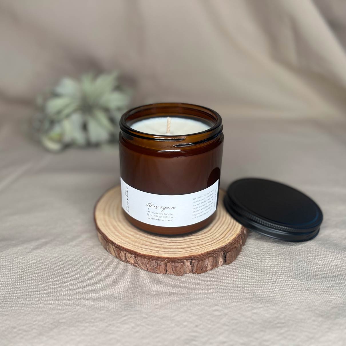 Sixteen-ounce Fern x Flow Citrus Agave scented soy candle in an amber-colored jar with the black matte lid off and resting on the right side, with a large air plant out-of-focus in the background.