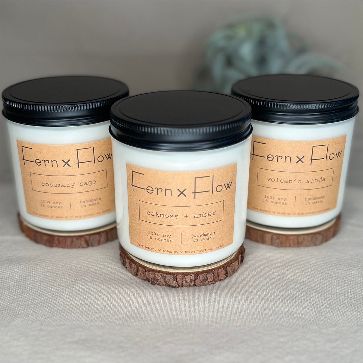 Best Sellers Candle Bundle