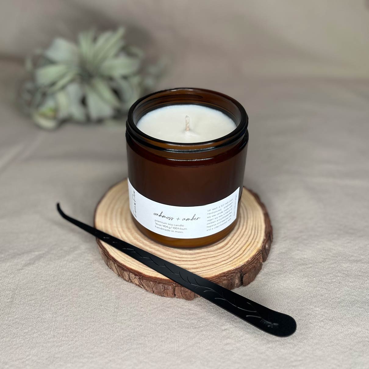 
                  
                    Sixteen-ounce Fern x Flow Oakmoss + Amber scented soy candle in an amber-colored jar with the lid off and a black matte wick dipper resting in the front, with a large air plant out-of-focus in the background.
                  
                