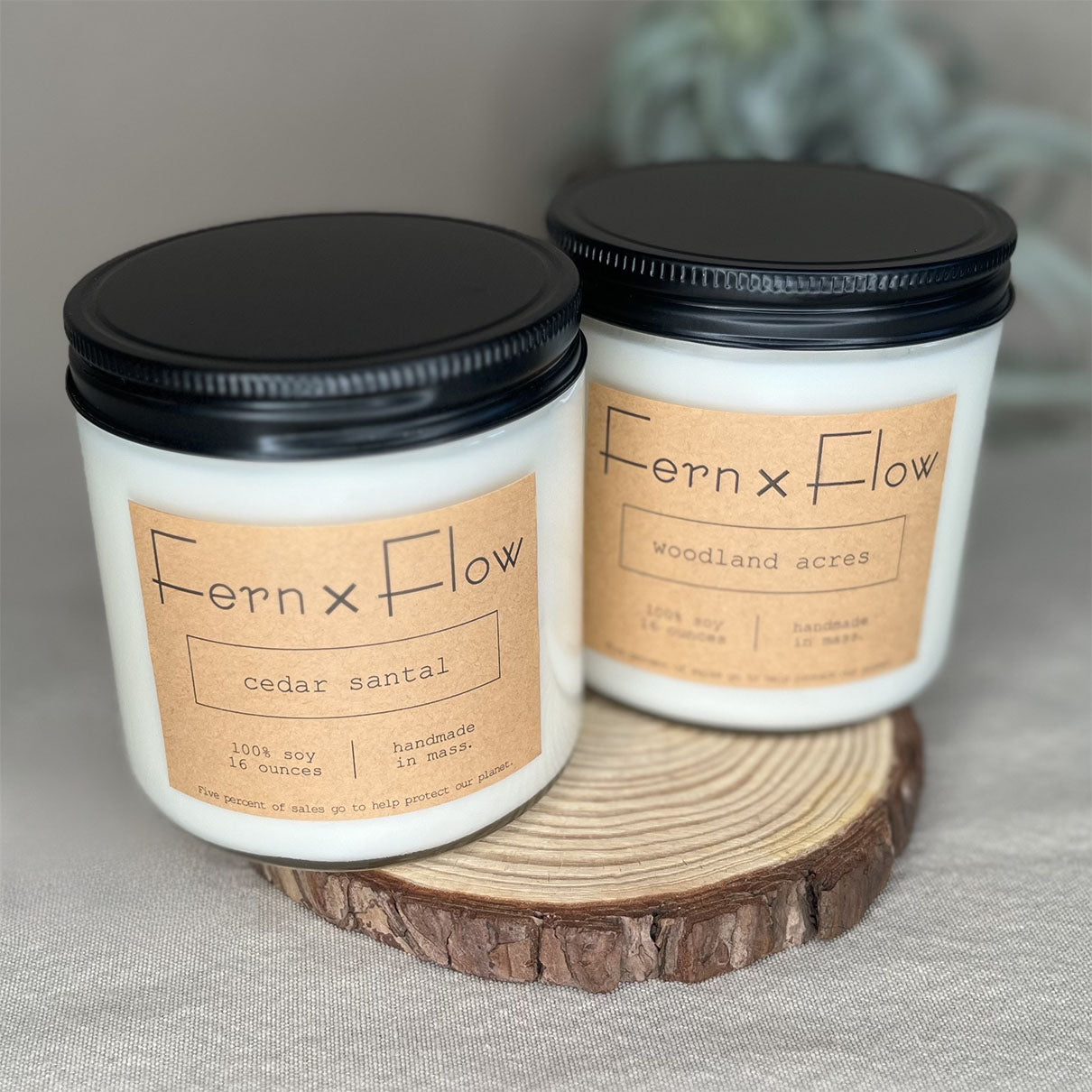 Fern x Flow 16oz Warm and Woodsy vegan soy candle bundle and gift set featuring Cedar Santal and Woodland Acres scented soy candles.