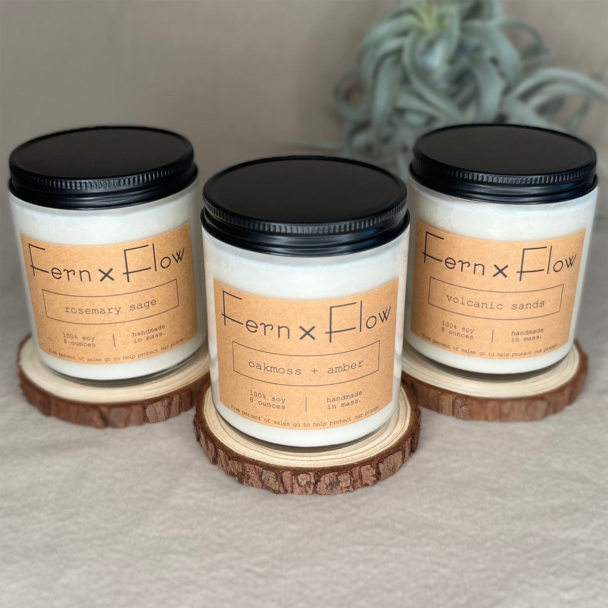 Best Sellers Candle Bundle