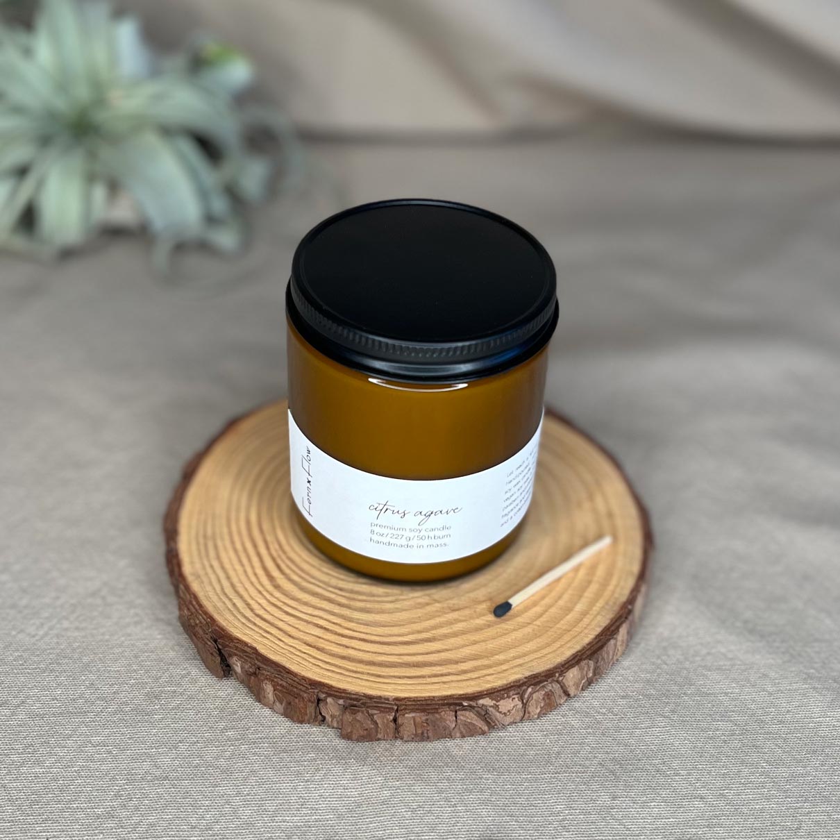 Closeup photo of eight-ounce Fern x Flow Citrus Agave scented soy candle with a single black-tipped match on the side and an air plant in the background.