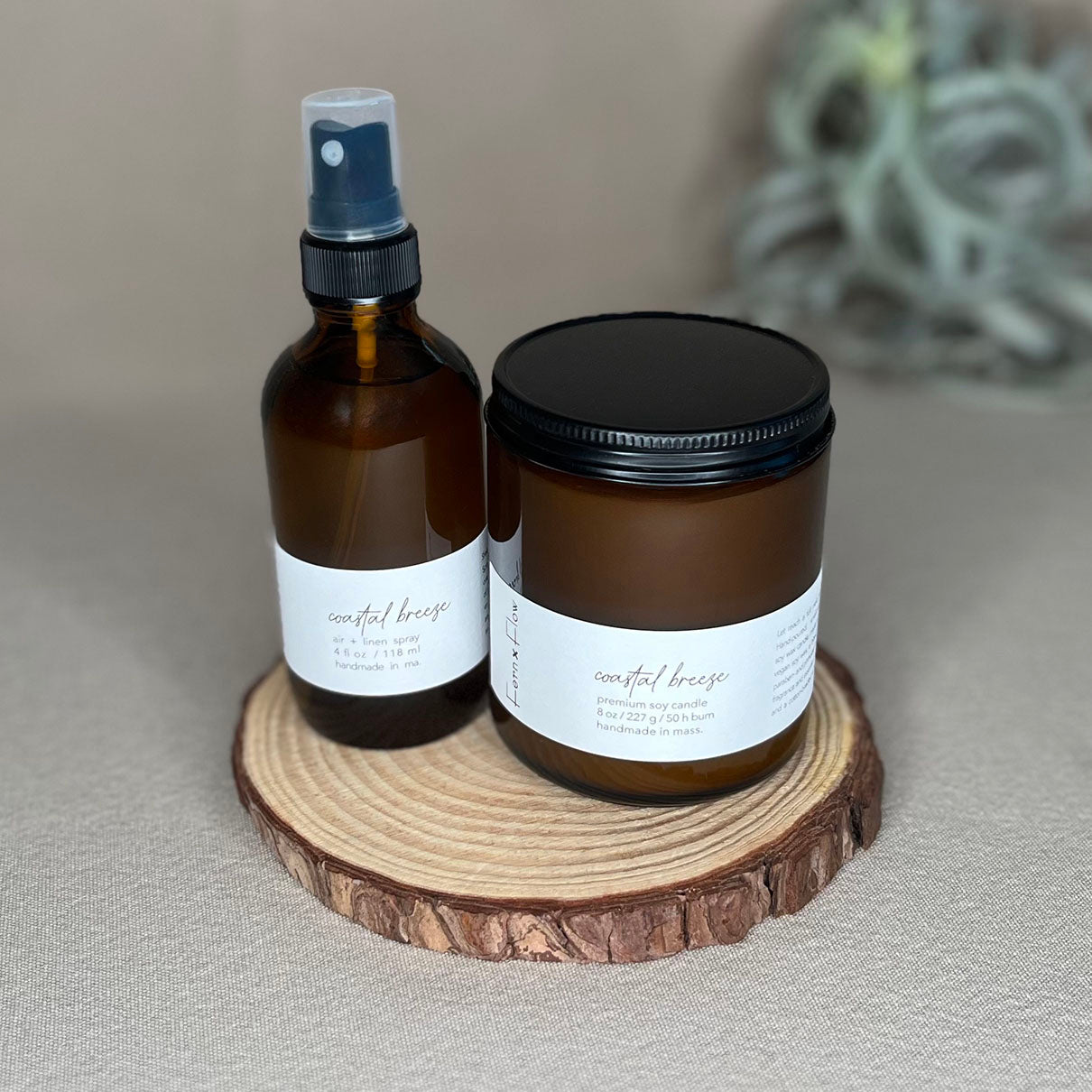 Fern x Flow Coastal Breeze soy candle and air + linen spray fragrance bundle on a wooden rise in front of a large out-of-focus air plant in the background.