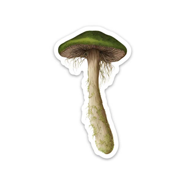 Decorative Stickers