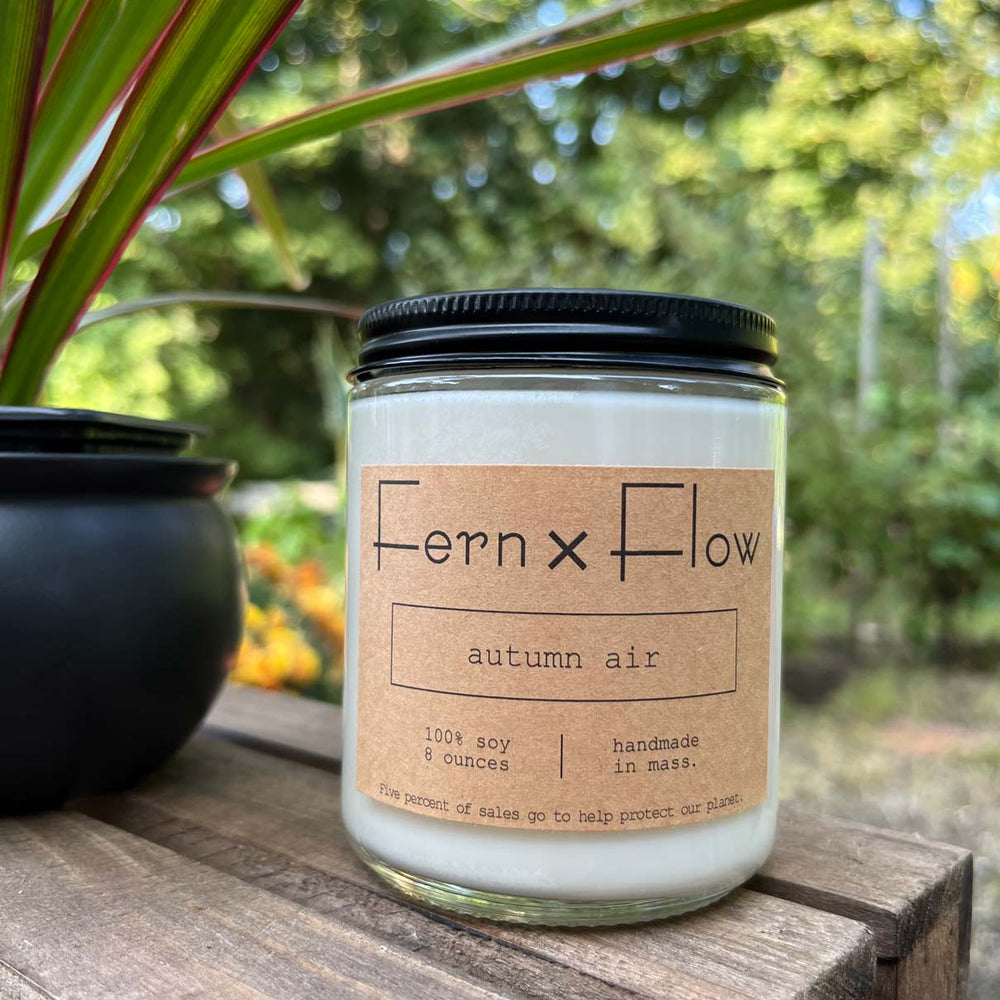 Fern x Flow Autumn Air scented soy candle on a weathered, wooden crate in front of yellow and orange mums.