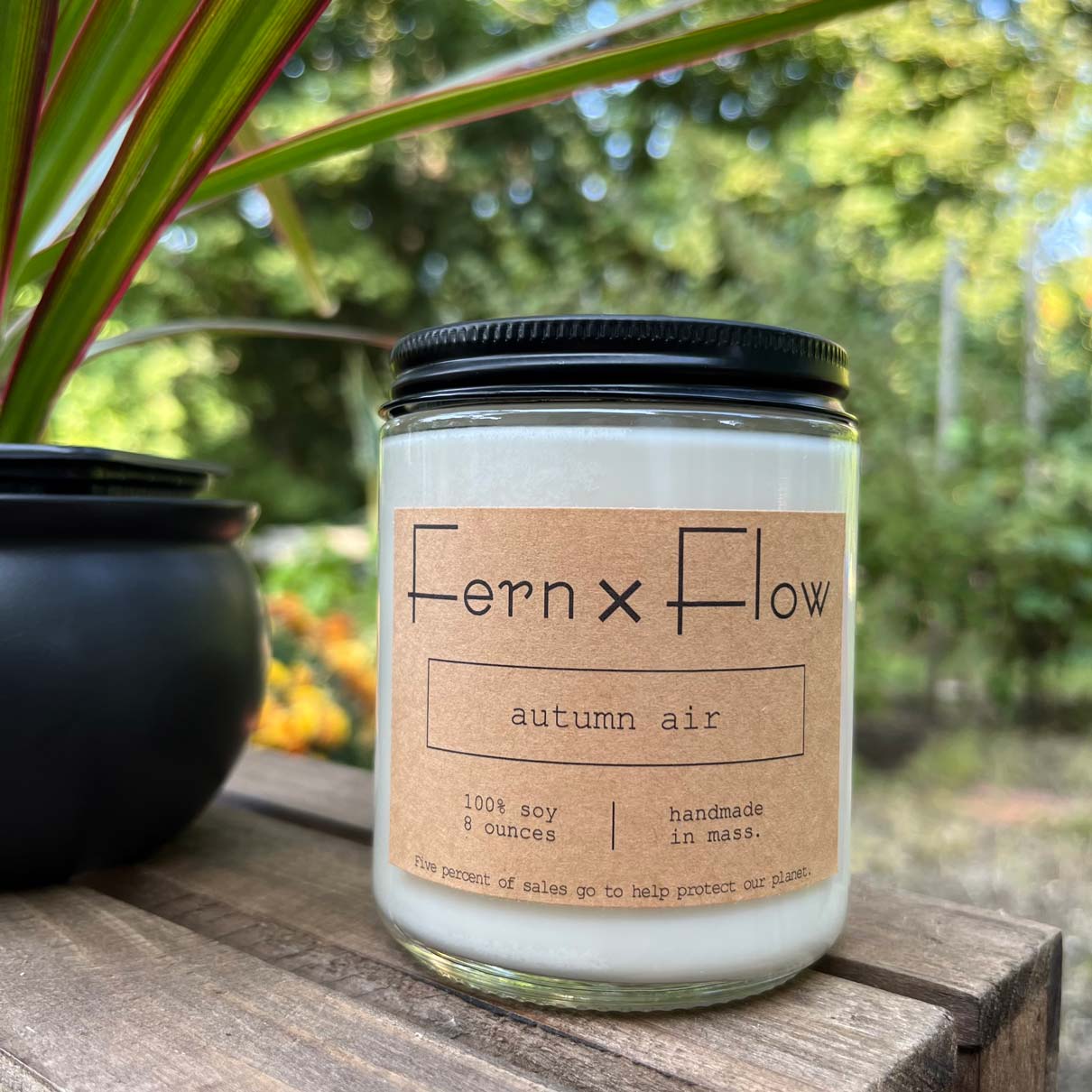 Fern x Flow Autumn Air scented soy candle on a weathered, wooden crate in front of yellow and orange mums.