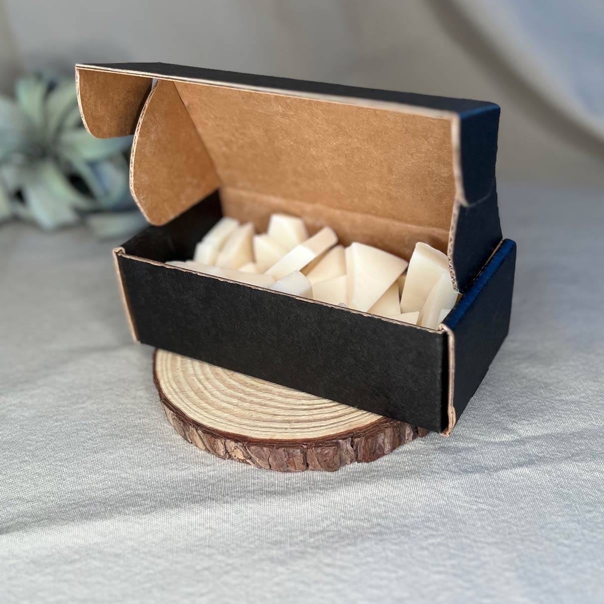 Open box of eight-ounce Fern x Flow hand-poured wax melt bark on a rustic wooden risen with a large air plant in the background.