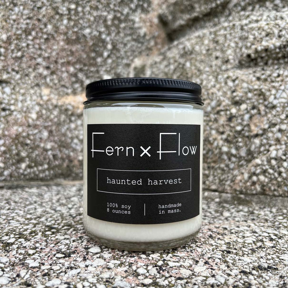 
                  
                    Fern x Flow Haunted Harvest scented soy candle near the Salem Common in Salem, Massachusetts
                  
                