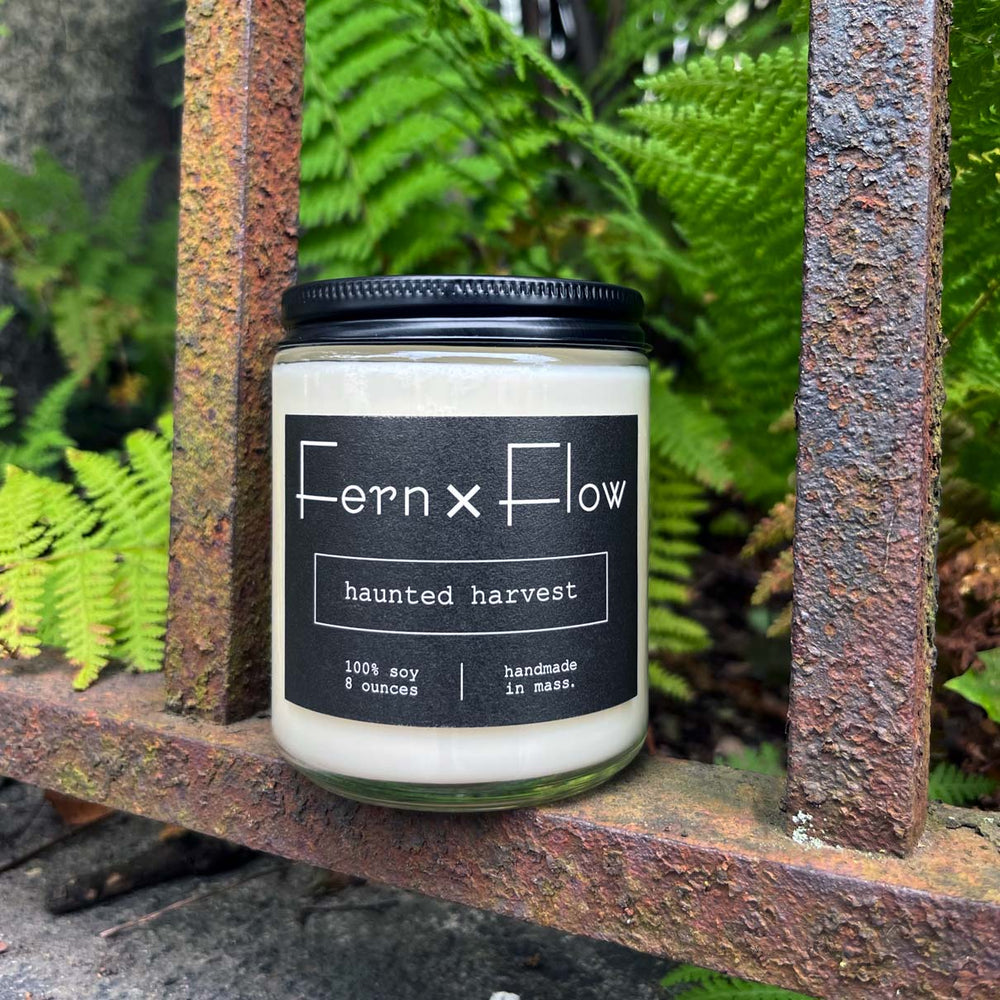 Fern x Flow Haunted Harvest Halloween scented soy candle on an old iron fence in Salem, MA
