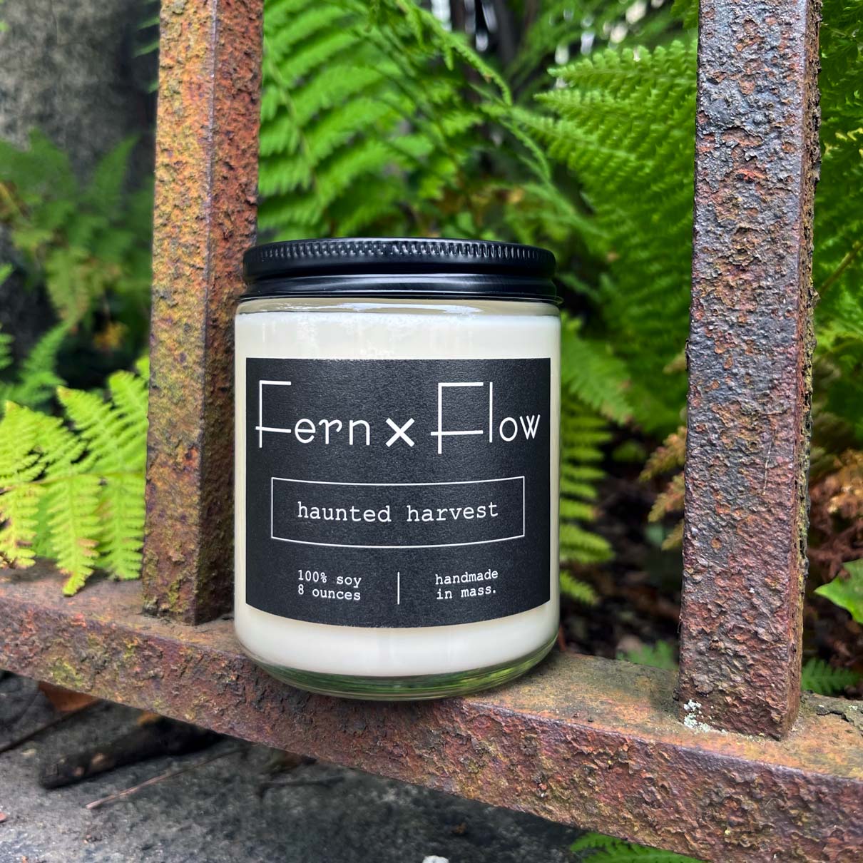 
                  
                    Fern x Flow Haunted Harvest Halloween scented soy candle on an old iron fence in Salem, MA
                  
                