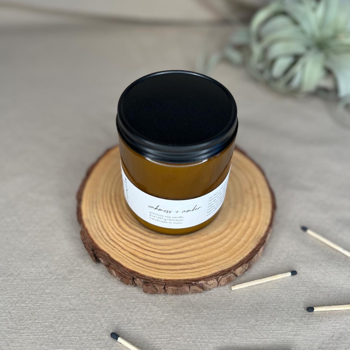Closeup photo of eight-ounce Fern x Flow Oakmoss + Amber scented soy candle with black matte wick trimmers in the foreground and an air plant in the background.