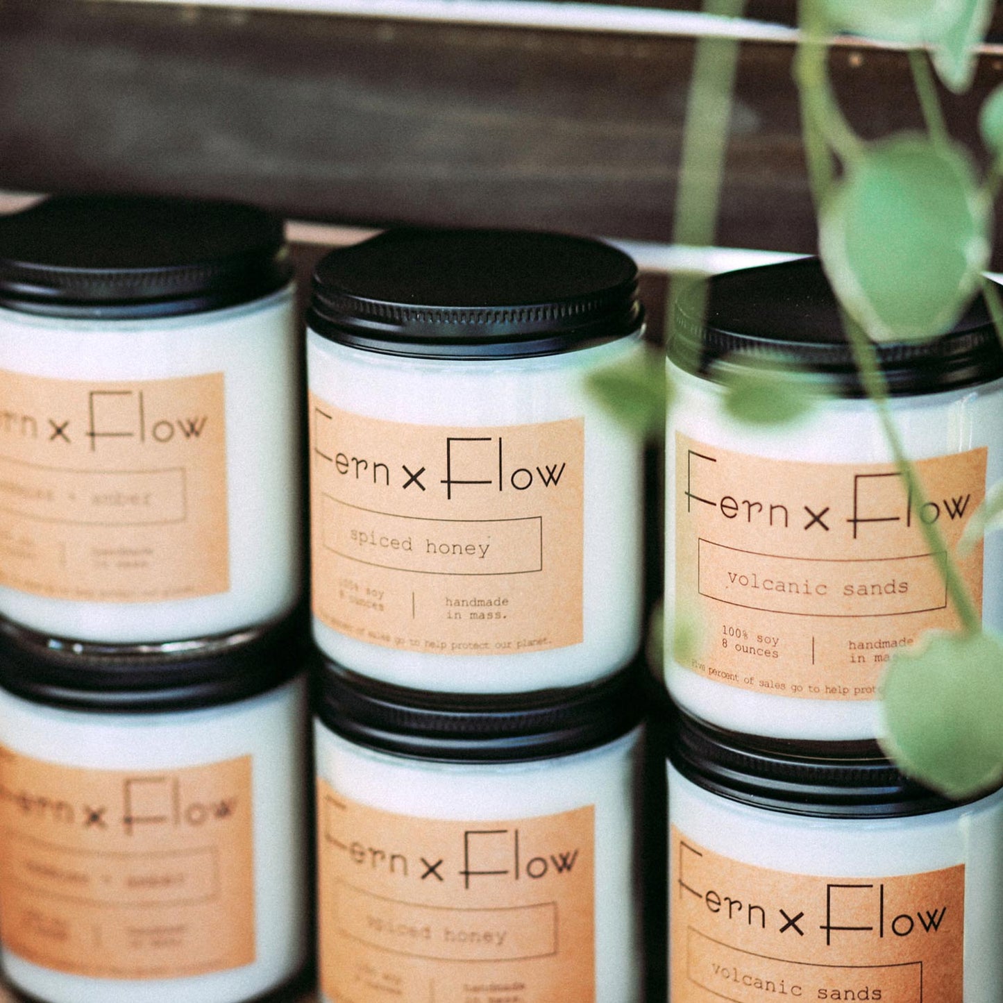 Fern x Flow hand-poured Autumn Candle Collection in front of pumpkins and mums.