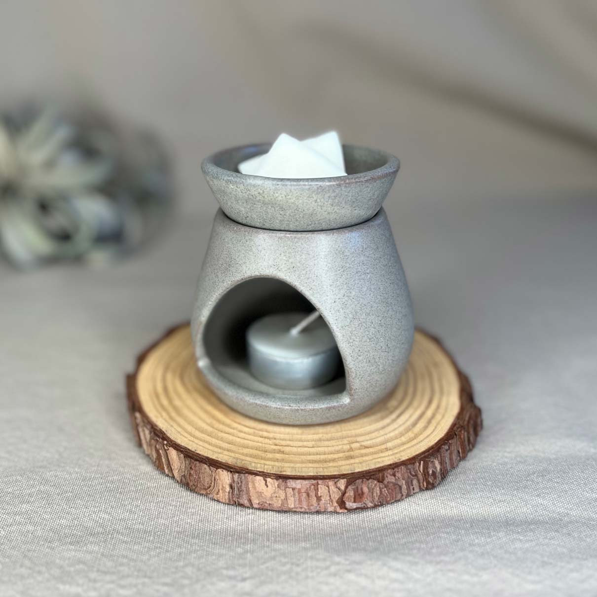 
                  
                    Fern x Flow handmade stoneware essential oil and wax melt warmer in seafoam green on a rustic wooden riser with a large air plant in the background.
                  
                