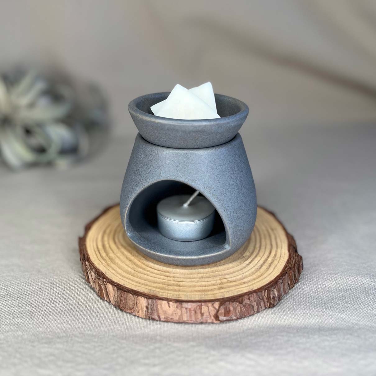 Fern x Flow handmade stoneware essential oil and wax melt warmer in slate gray on a rustic wooden riser with a large air plant in the background.