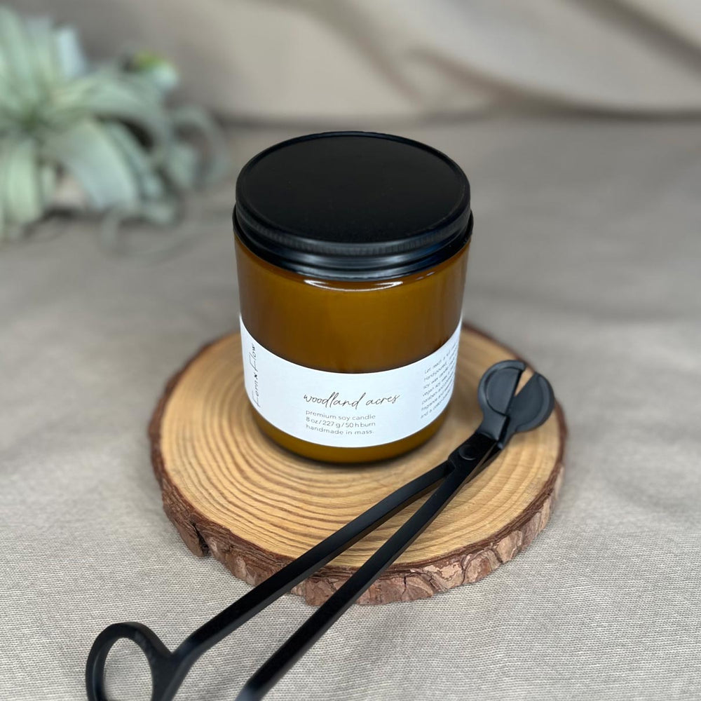 Closeup photo of eight-ounce Fern x Flow Woodland Acres scented soy candle with black matte wick trimmers in the foreground and an air plant in the background.