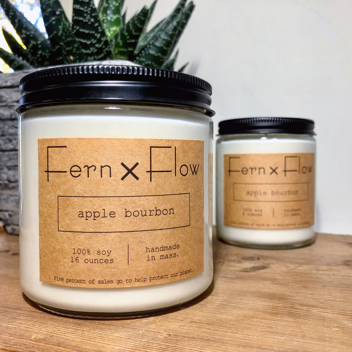 
                  
                    Closeup photo of a sixteen ounce Fern x Flow Apple Bourbon scented soy candle with an eight ounce candle and a succulent in the background. 
                  
                