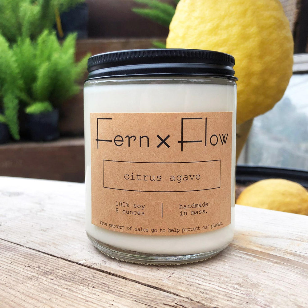 
                  
                    Eight-ounce Fern x Flow Citrus Agave scented soy candle on a piece of weathered wood in front of a large lemon tree and out-of-focus asparagus ferns in the background.
                  
                