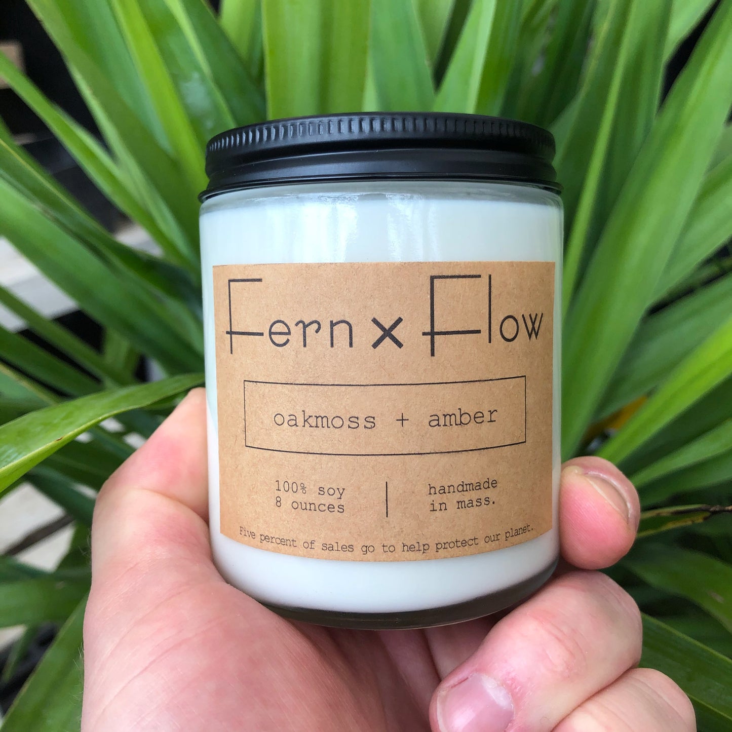 
                  
                    Eight-ounce Fern x Flow Oakmoss + Amber scented soy candle being held in front of palm leaves.
                  
                