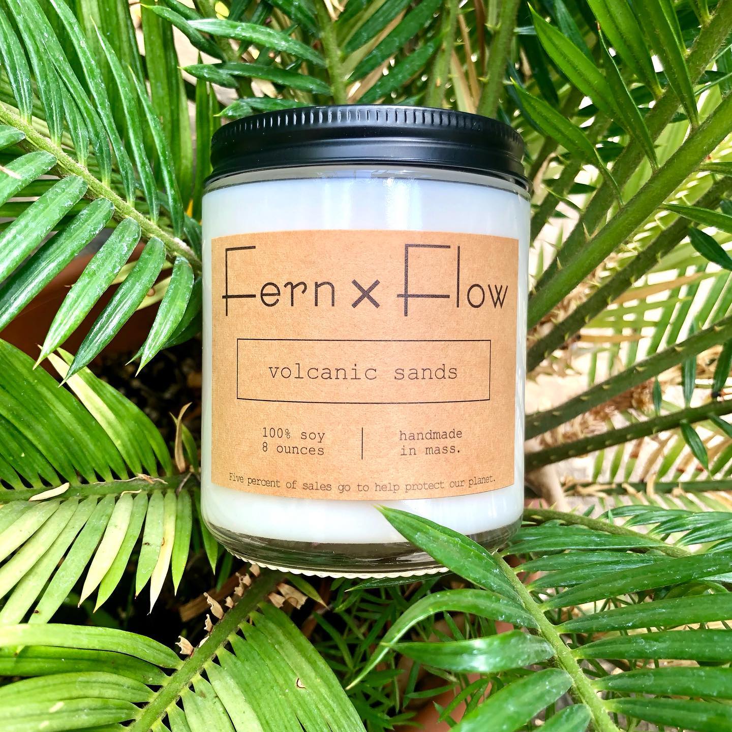 
                  
                    Eight-ounce Fern x Flow Volcanic Sands scented soy candle at the base of large palm leaves.
                  
                