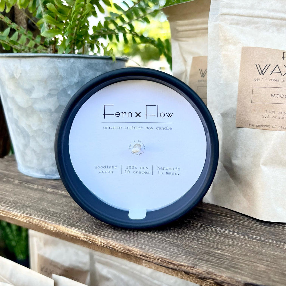 
                  
                    Fern x Flow Woodland Acres Ceramic Tumbler soy candle on a weathered, wooden stand in front of a small fern plant in a tin bucket.
                  
                