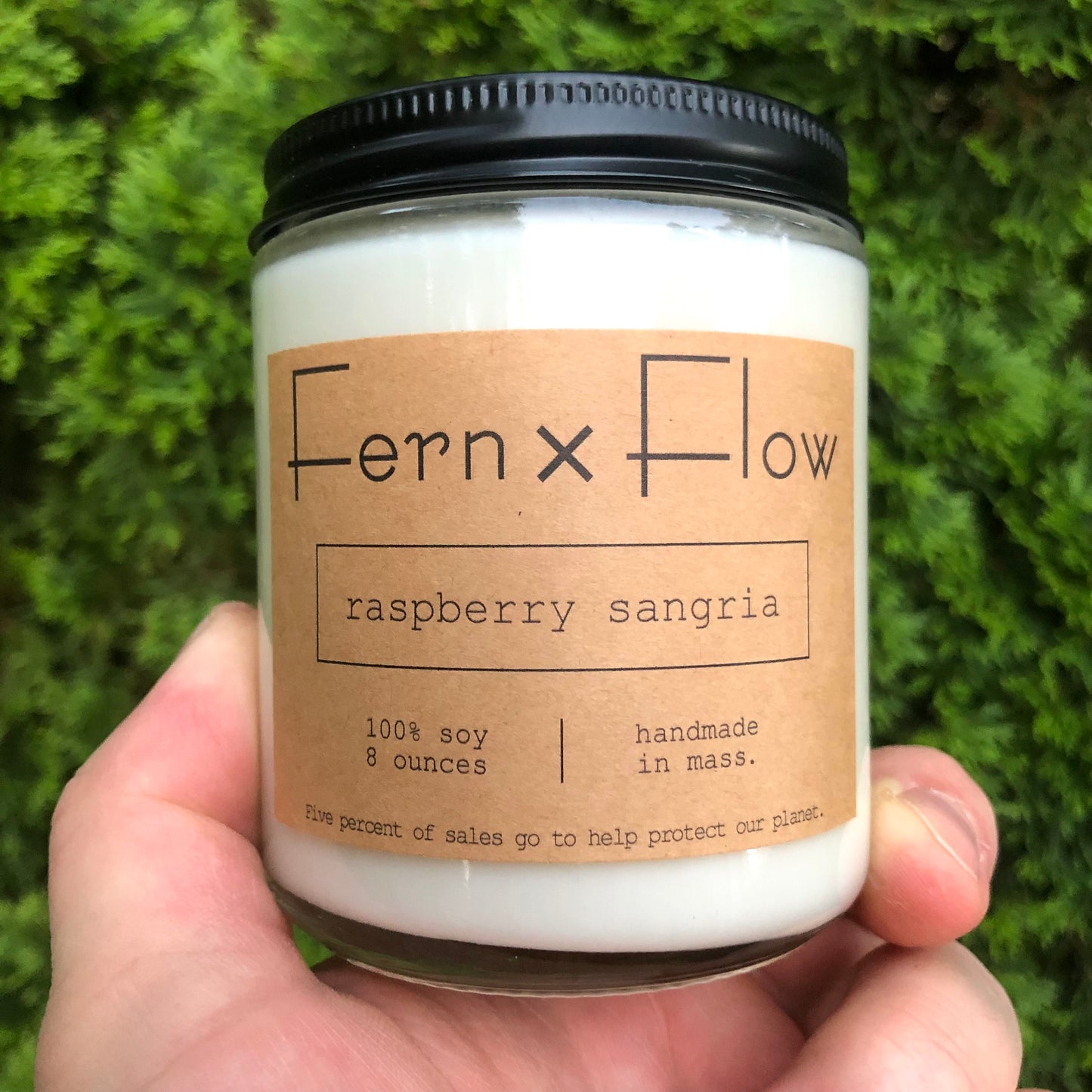 
                  
                    Eight-ounce Fern x Flow Raspberry Sangria scented soy candle behind held in front of a lush, green evergreen.
                  
                